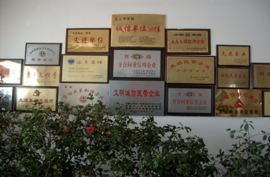 公司榮譽(yù)墻