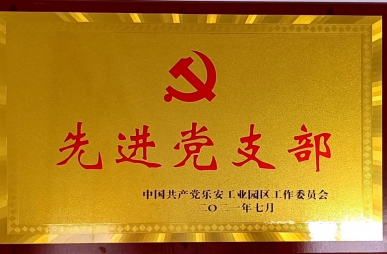 先進(jìn)黨支部